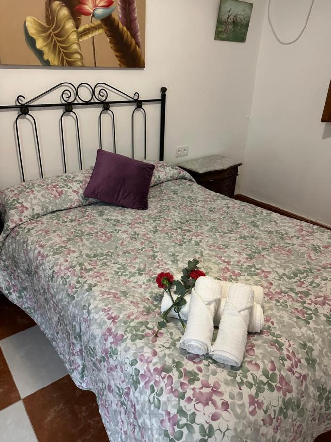 Casa D Mis Dos Gitanillas Cordoba Dış mekan fotoğraf